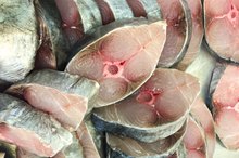 Mackerel Diet