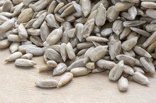 Are Sunflower Seeds Fattening?