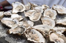 Sodium & Oysters
