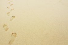 A Carbon Footprint Definition for Kids