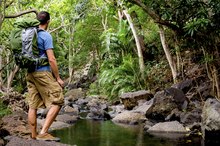 List of Common Bacteria and Guardia Found in Creeks & Streams