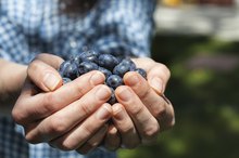 Can You Eat Certain Foods to Lighten Thick Blood?