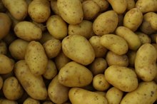 Foods to Eliminate If Allergic to Niacin