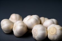 Foods That Kill Parasites
