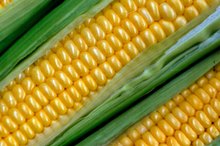 Is Popcorn as Healthy as Corn on the Cob?