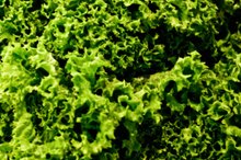 B Vitamins That Help Stop Acid Reflux
