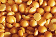 Allergy to Lentils