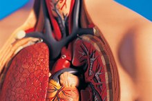Reduce Lung Pain After Exercise