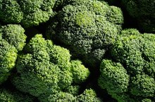 What Are the Benefits of Vitamin K7?