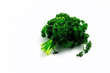 What Foods Have Glucosamine?