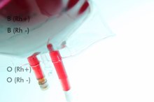 Are There Herbs That Increase Blood Oxygen Levels?