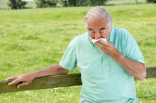 Remedy for a Bronchitis Cough