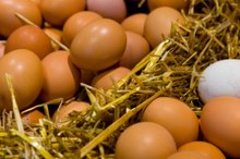List of Foods That Contain Sulfur