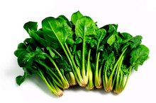 Foods to Avoid Because of Vulvodynia