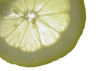 Why am I Not Losing Weight on Master Cleanse?