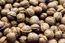 Foods to Avoid When Taking Thyroid Medication