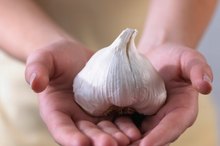 What Foods or Spices Prevent Intestinal Parasites and Worms?