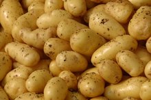 Cholesterol & Potatoes