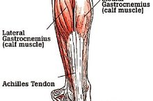 Symptoms of a Torn Achilles Tendon