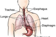 What Are the Treatments for Erosive Esophagitis?
