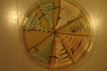 How Long Does it Take to Kill Candida?