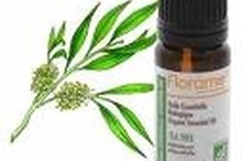 How to Heal Insect Bites With Tea Tree Oil